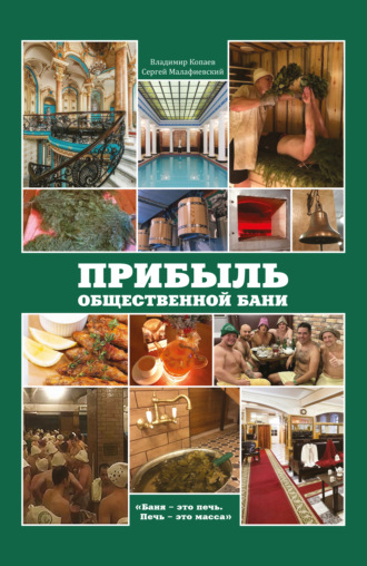 Владимир Копаев, Сергей Малафиевский, Прибыль общественной бани